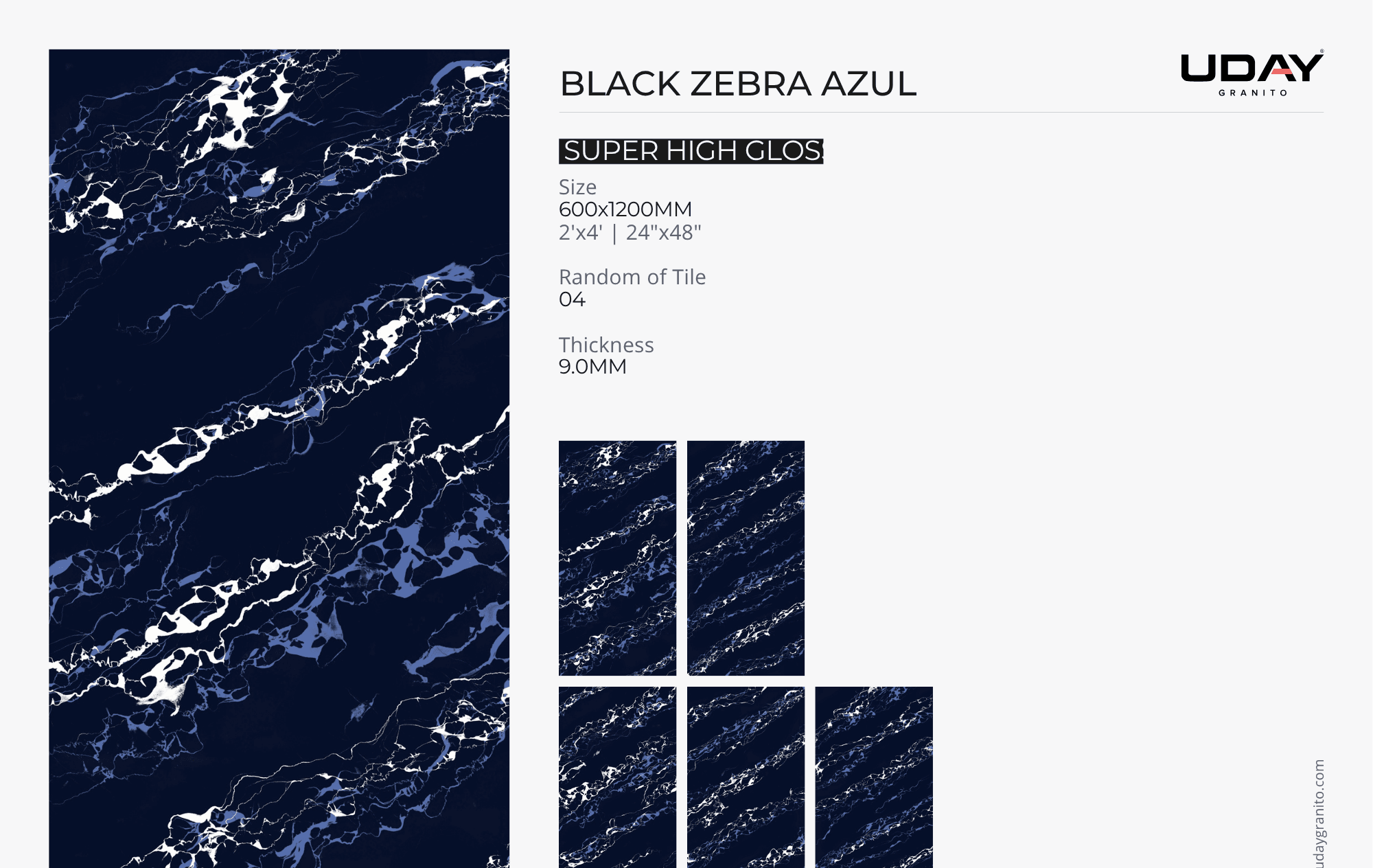 BLACK ZEBRA AZUL